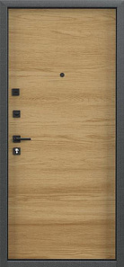 Входная металлическая дверь TOREX ДЕЛЬТА РР-40 (950 левая) купить в Беларуси